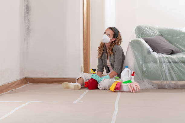 Reliable Basement Mold Removal contractor in Prince Frederick, MD by WQB Mold Removal